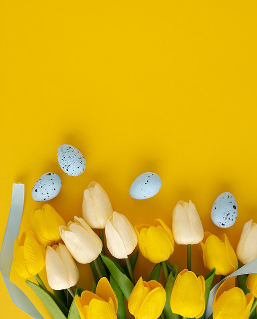 Bild von Osterbrunch 2026