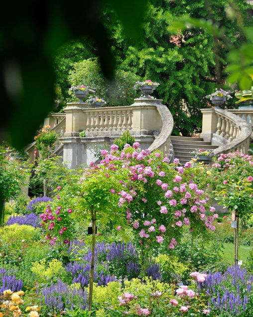 Bild von Italienischer Abend in der Schwedenschenke